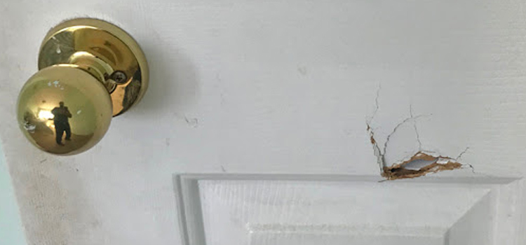 interior door hole repair Lynwood