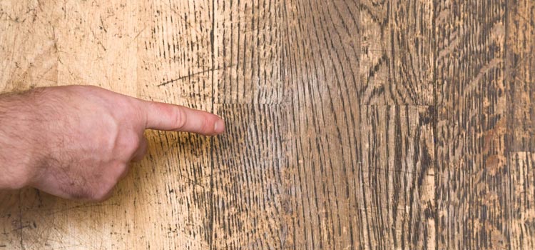 Wood Door Scratch Repair in Lynwood